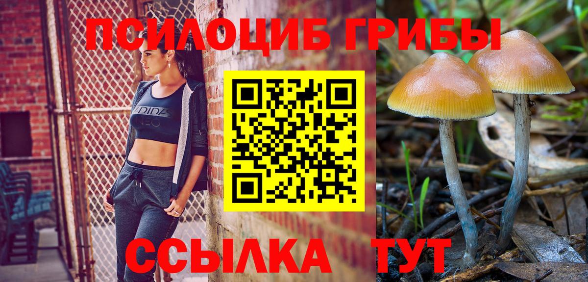 Псилоцибиновые грибы Magic Shrooms Кондопога
